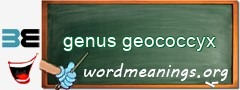 WordMeaning blackboard for genus geococcyx